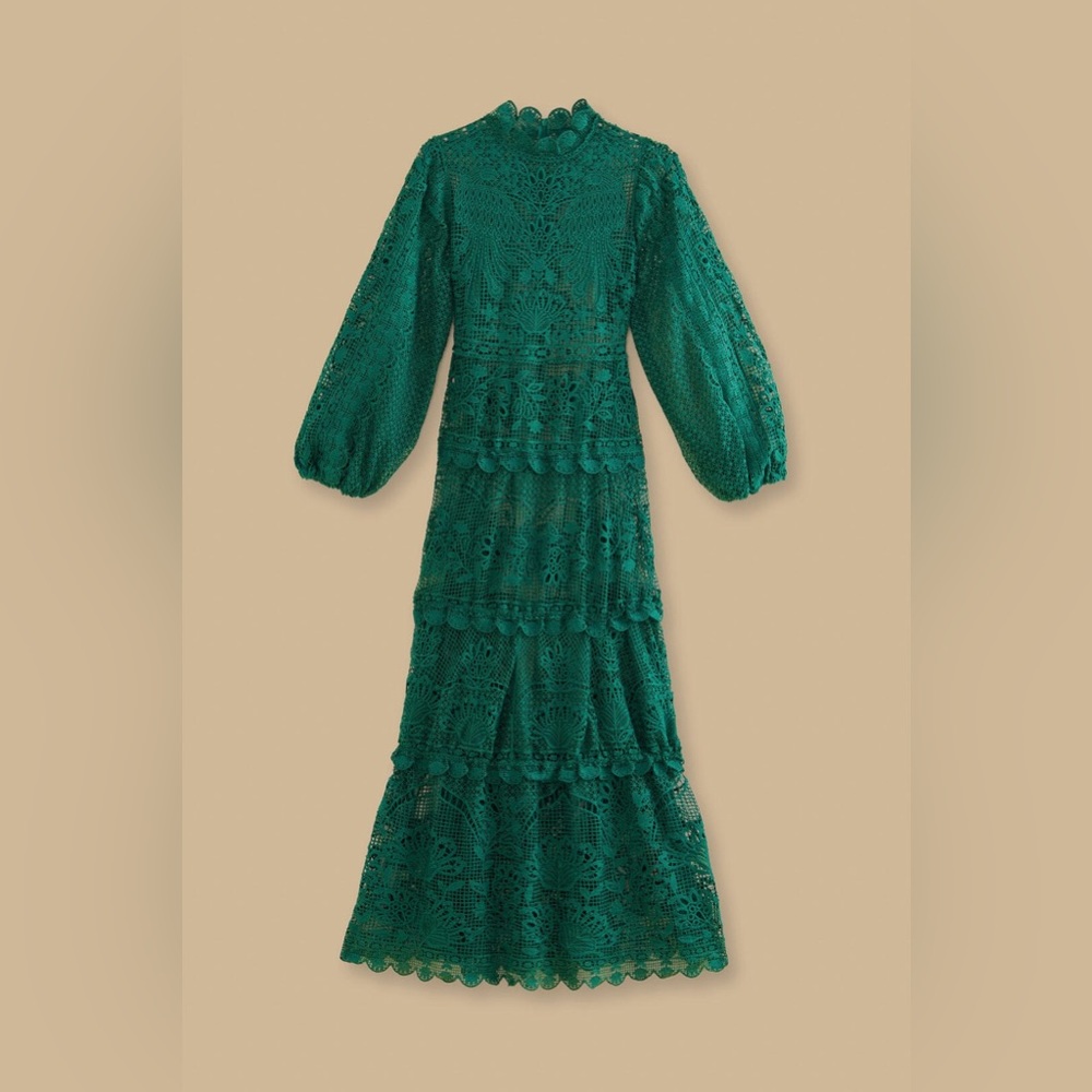 Anthropologie Green Lace Maxi Dress - Picture 3 of 6